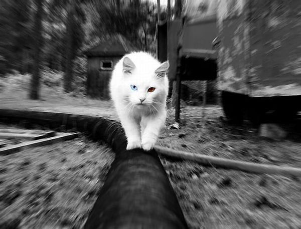 Татьяна Ильина