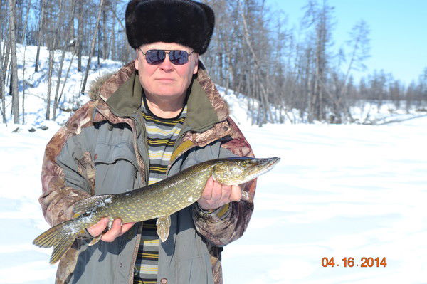 Александр Дадонов