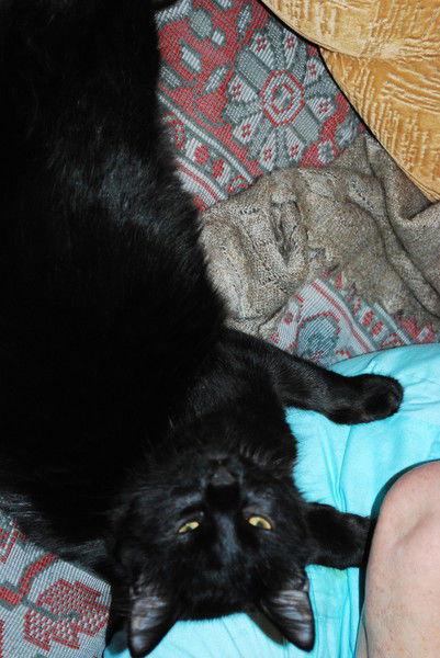 Надежда Соколова