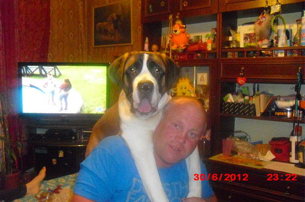 Алексей Смирнов