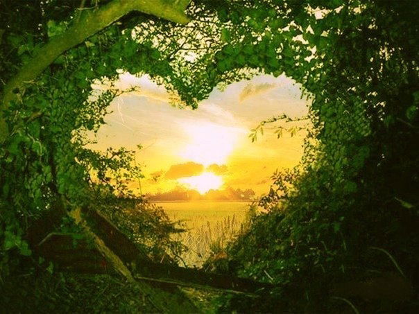 Елена Власова