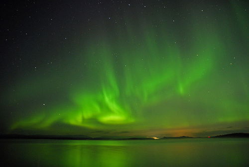 Александр Кривой