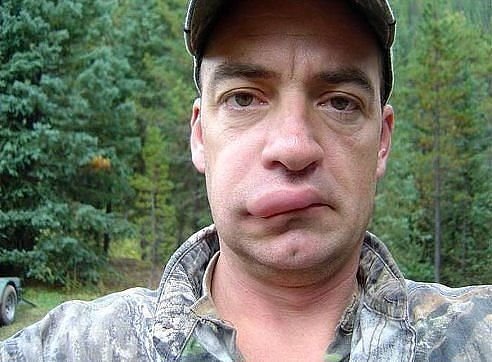 Аллен Делон