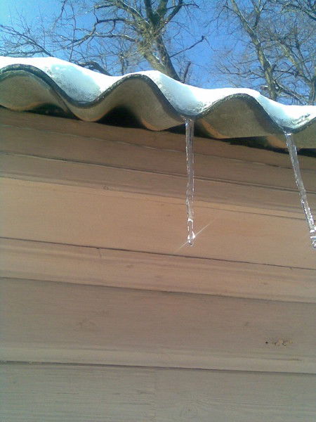 Костя Карташов