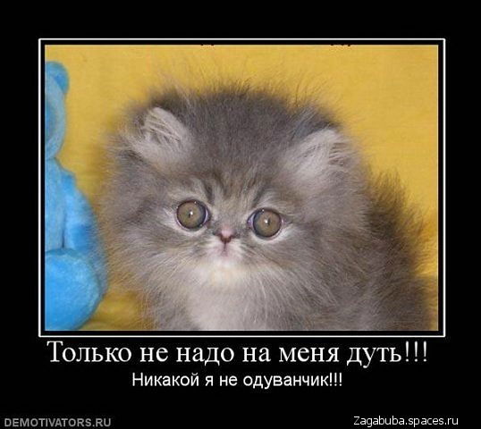 Наиля Нагиева