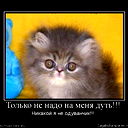 Наиля Нагиева