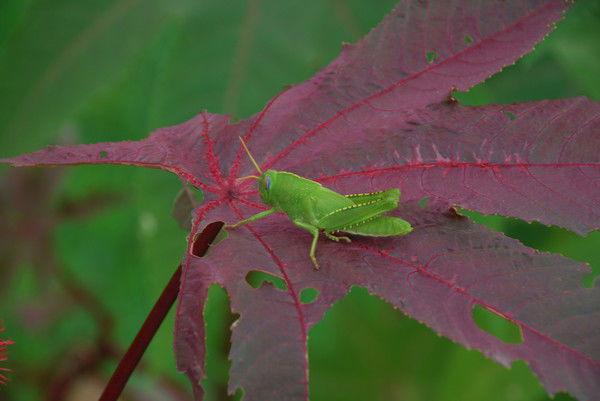 Павел Третьяков