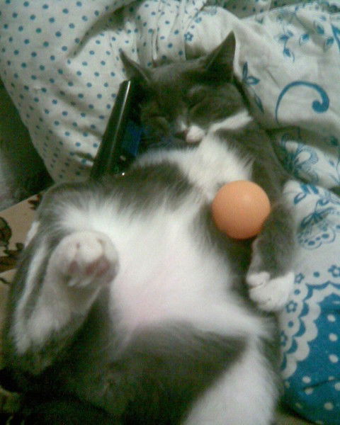 Темiрлан Байзаков