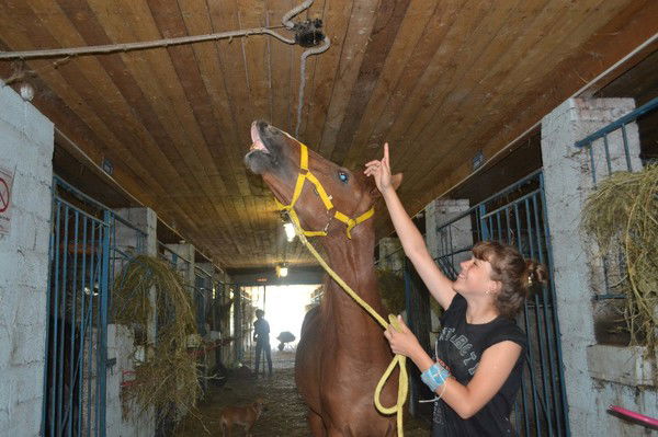 Юлия Маринина