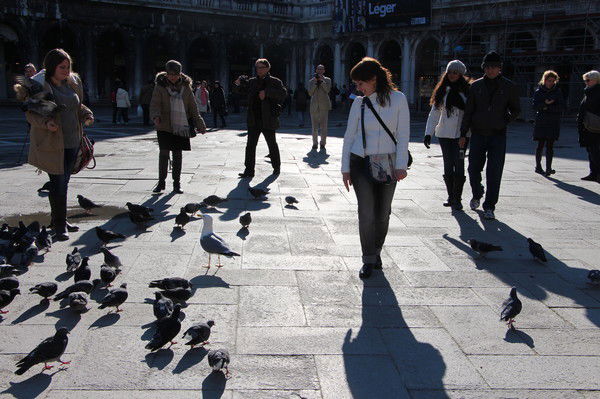 Елена Яньшина