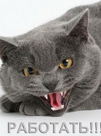 Дмитрий Беляков