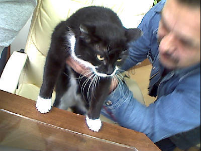 Людмила Поликарпова