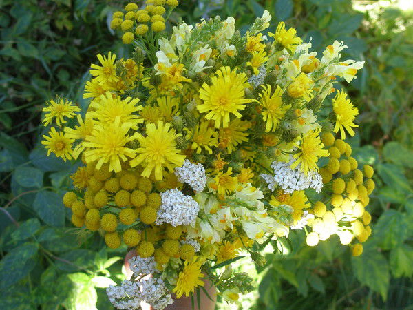 Женя Суханова