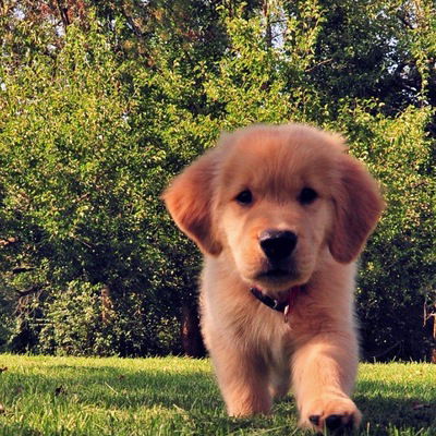 Мария Сумина