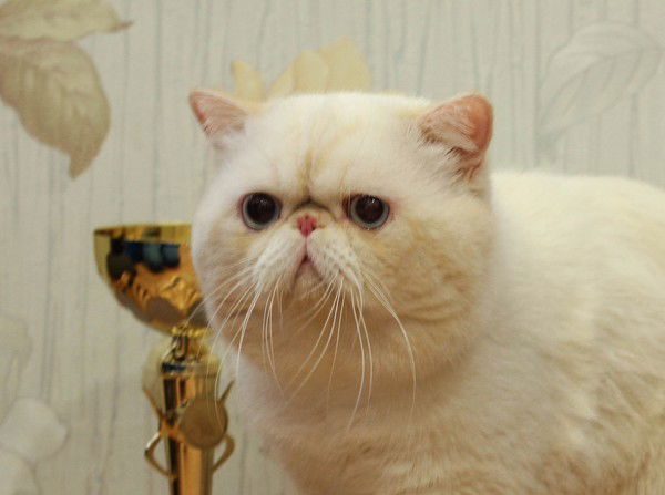 Наталья Дятлова