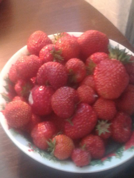 Людмила Лабынцева