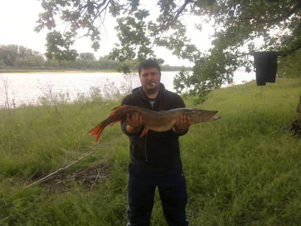 Антон Меньшиков