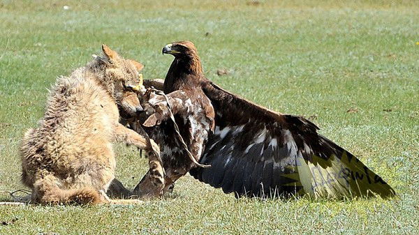 Акай Молдобаев
