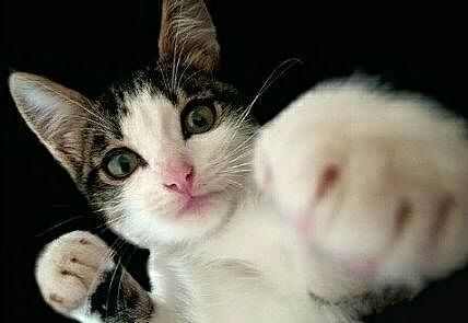 Маша Рабунец