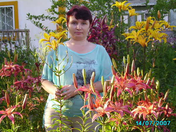 Людмила Шеина