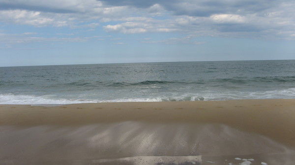 Роза Бейсекина