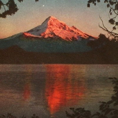 Ирина Алеева