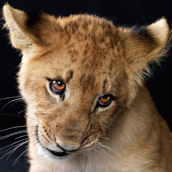 Яся Такаева