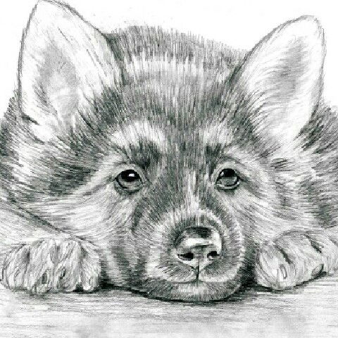 Михаил Савкин