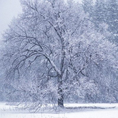 Sweetheart Vinogradova