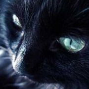 Стас Женодаров