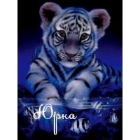 Юрий Голованов