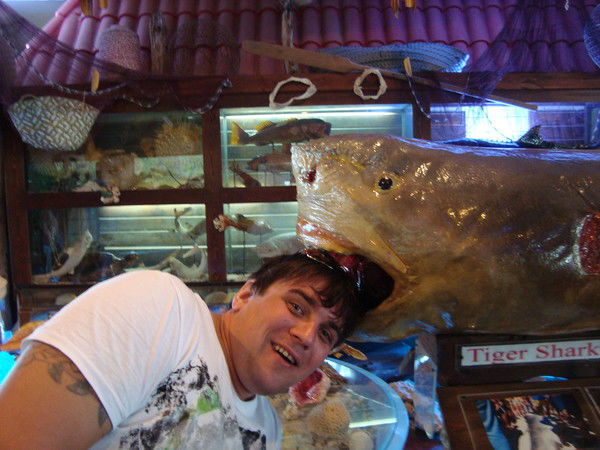 Дмитрий Ананич