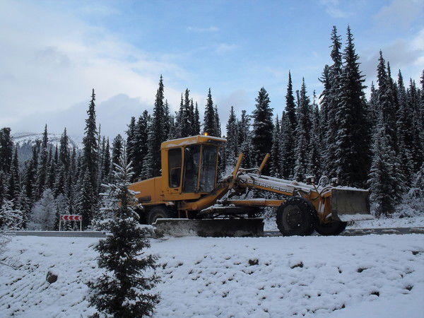 Александр Залипутин