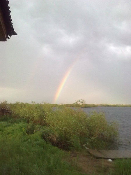 Интеграция Целина