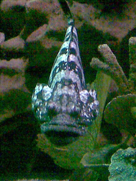 Валентин Еремеев