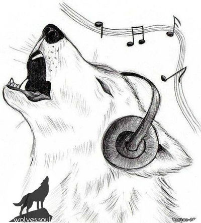 Дарья Синицына