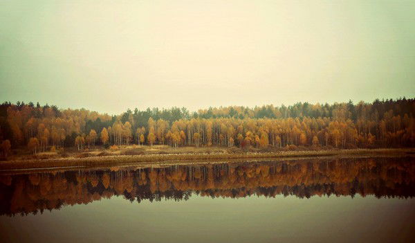 Алексей Палёнов