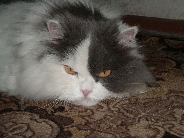 Лида Лидунчик