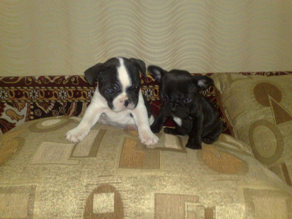 Людмила Николаева