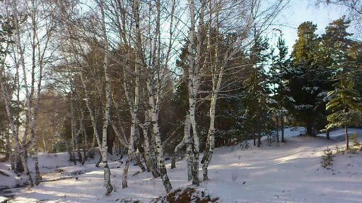 Погнали наши городских откуда фраза что значит. Смотреть фото Погнали наши городских откуда фраза что значит. Смотреть картинку Погнали наши городских откуда фраза что значит. Картинка про Погнали наши городских откуда фраза что значит. Фото Погнали наши городских откуда фраза что значит