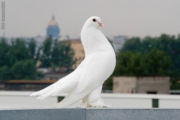 лучше быть на руках у любящего чем у ног любимого. Смотреть фото лучше быть на руках у любящего чем у ног любимого. Смотреть картинку лучше быть на руках у любящего чем у ног любимого. Картинка про лучше быть на руках у любящего чем у ног любимого. Фото лучше быть на руках у любящего чем у ног любимого