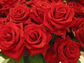 Жулдуз Нукешова