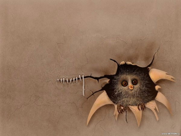 Даша Сальваторе