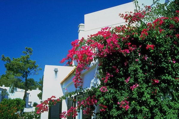 Мичгона Зиёдалиева