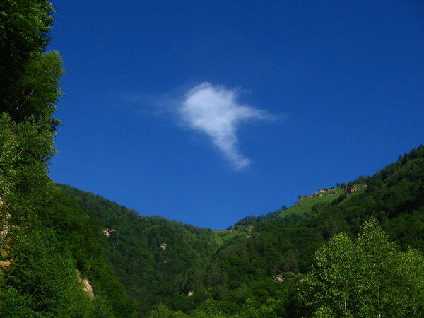 Ольга Асанова (Белова)