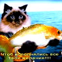 Евгений Виссарионов