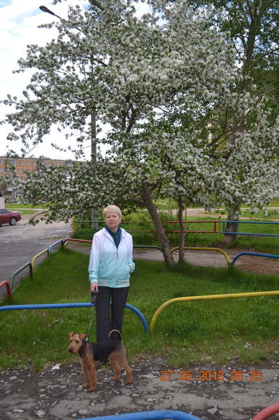 Светлана Агафонова