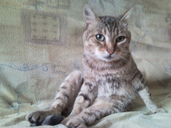 Александр Алексеев