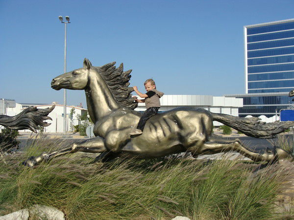 Дмитрий Фарафонов