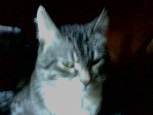 Серега Семешев